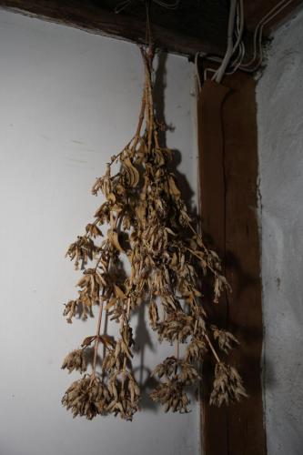 Wyckoff_Interior_17thCentury_Kitchen_Hearth_008